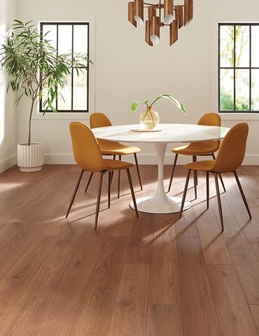 Dining Room Luxury Vinyl Plank LVP -  CarpetsPlus COLORTILE of Racine in  Racine, WI