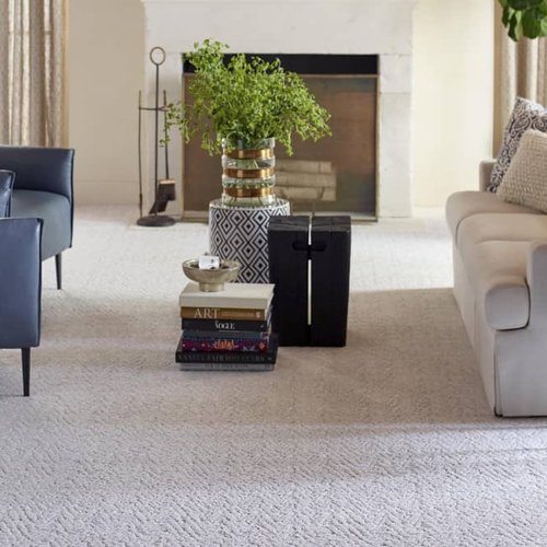 Living Room Pattern Carpet - CarpetsPlus COLORTILE of Racine in  Racine, WI