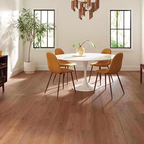 Dining Room Luxury Vinyl Plank LVP -  CarpetsPlus COLORTILE of Racine in  Racine, WI